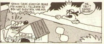 SerKan1923 (665).jpg