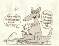 SerKan1923 (703).jpg