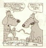SerKan1923 (787).jpg