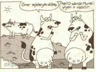 SerKan1923 (821).jpg