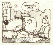 SerKan1923 (823).jpg