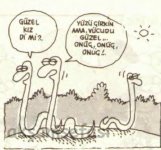 SerKan1923 (786).jpg