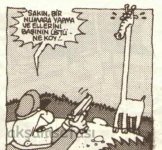 SerKan1923 (846).jpg