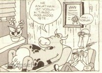 SerKan1923 (863).jpg