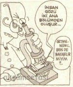 SerKan1923 (910).jpg