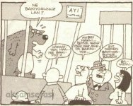 SerKan1923 (1036).jpg