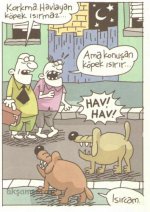 SerKan1923 (1117).jpg
