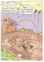 SerKan1923 (1142).jpg