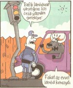 SerKan1923 (1181).jpg