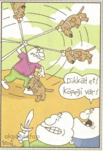 SerKan1923 (1769).jpg