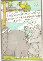 SerKan1923 (1770).jpg