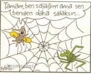 SerKan1923 (1822).jpg