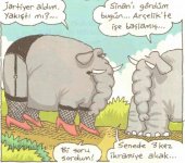 SerKan1923 (2516).jpg