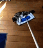 574480F1-5FAE-465E-AA5D-3D47D0B92AE2.gif