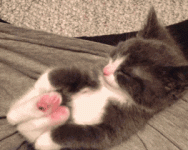 148D024E-1100-49A3-88EA-BCA63ECCBB80.gif