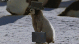 F0EA1DD4-D70B-4717-9C49-CAC4E84C4A74.gif