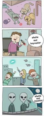 ehehe mallar.jpg