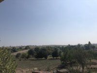 0D9125D0-698F-424F-8EC9-03EC6309FF23.jpeg