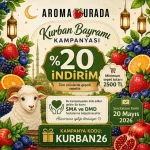 krbn26.webp krbn26.webp