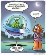 images (23).jpeg