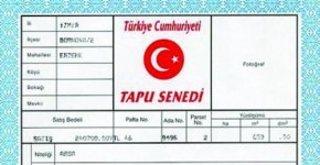 tapu.jpg