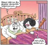 7kk3kr.jpg