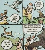 5e4e52cf49186e84a9fba1794ec62da5.jpg