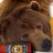 bearsoldier